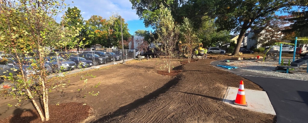 Planting Swale